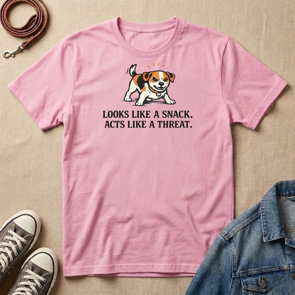 Looks Like a Snack T-shirt