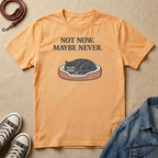 Not Now. Maybe Never. T-shirt
